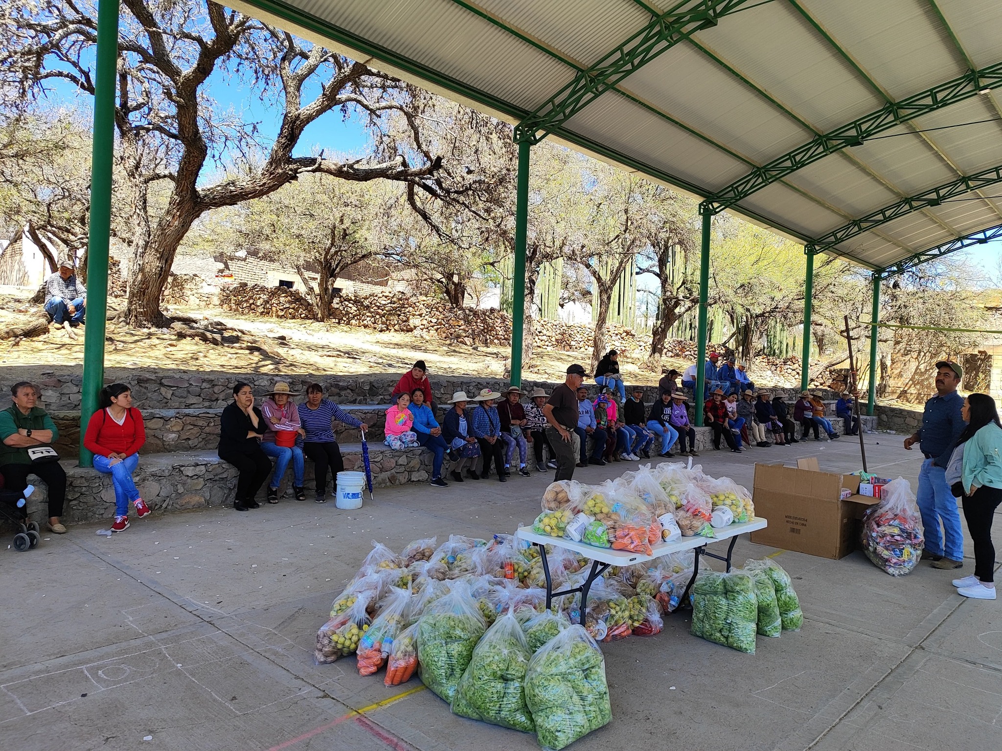 481007432_122161636118298205_1694544091321760185_n